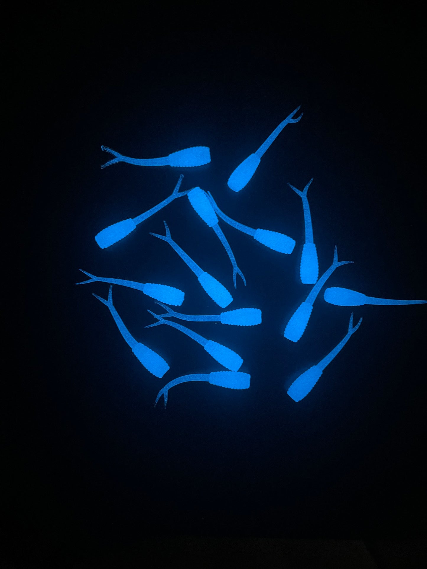 10pc 2in “Glowing Blue Lagoon” Mambas