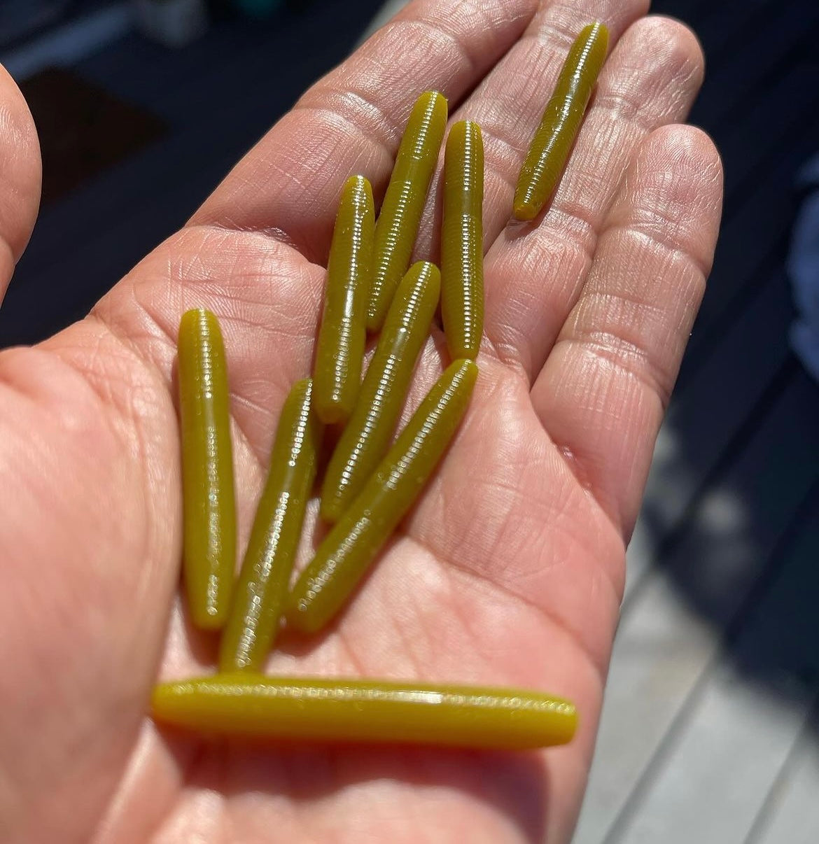 10pc 1.5 "Marsh Green" Stick Baits