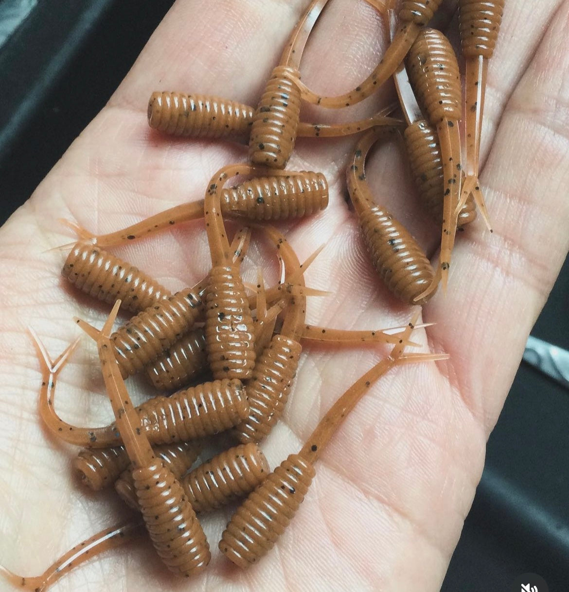 10pc 1.5 "Coco Pallet" Mamba