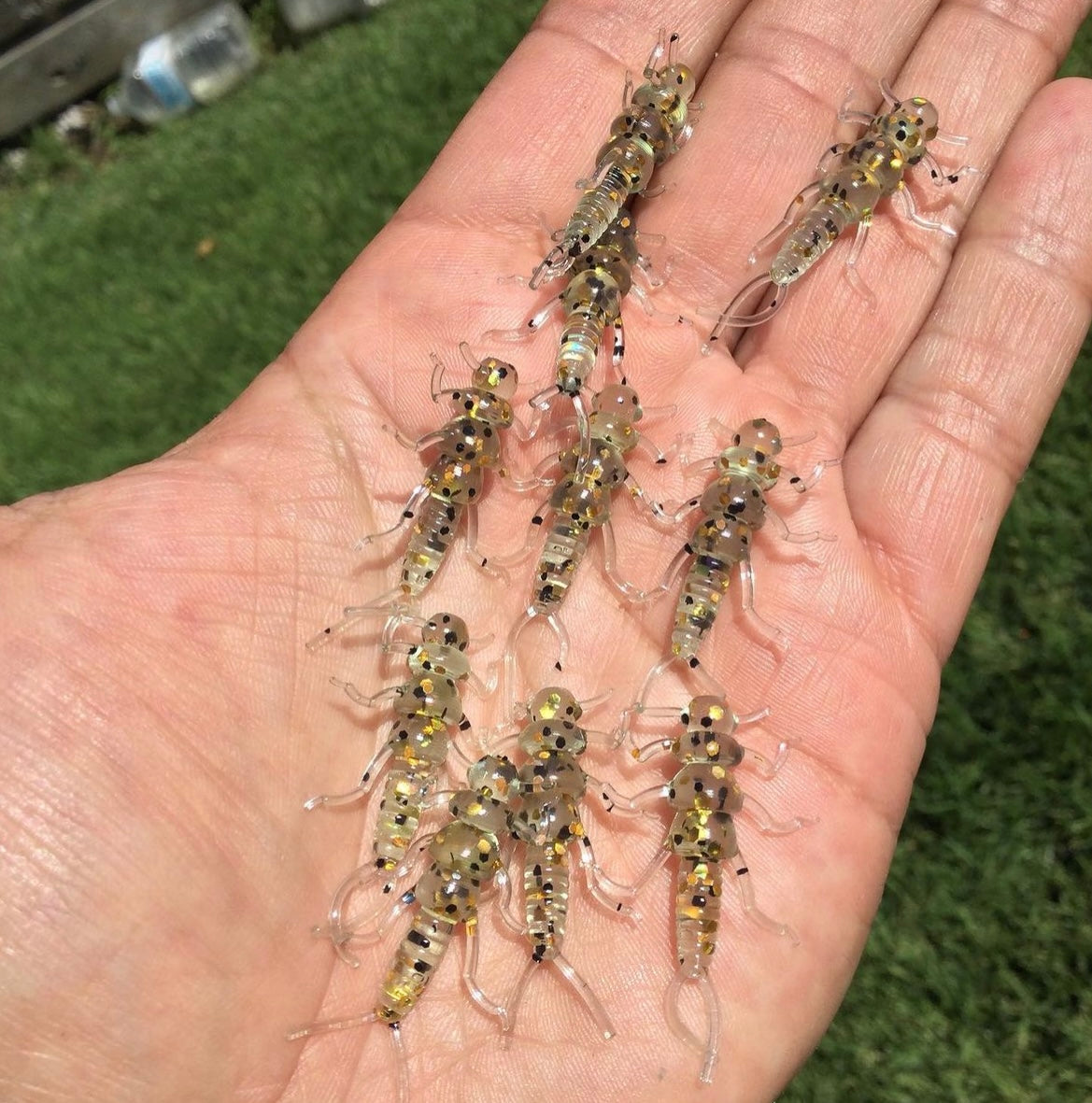 10pc 1.3 "Golden/Black" Trout Fly