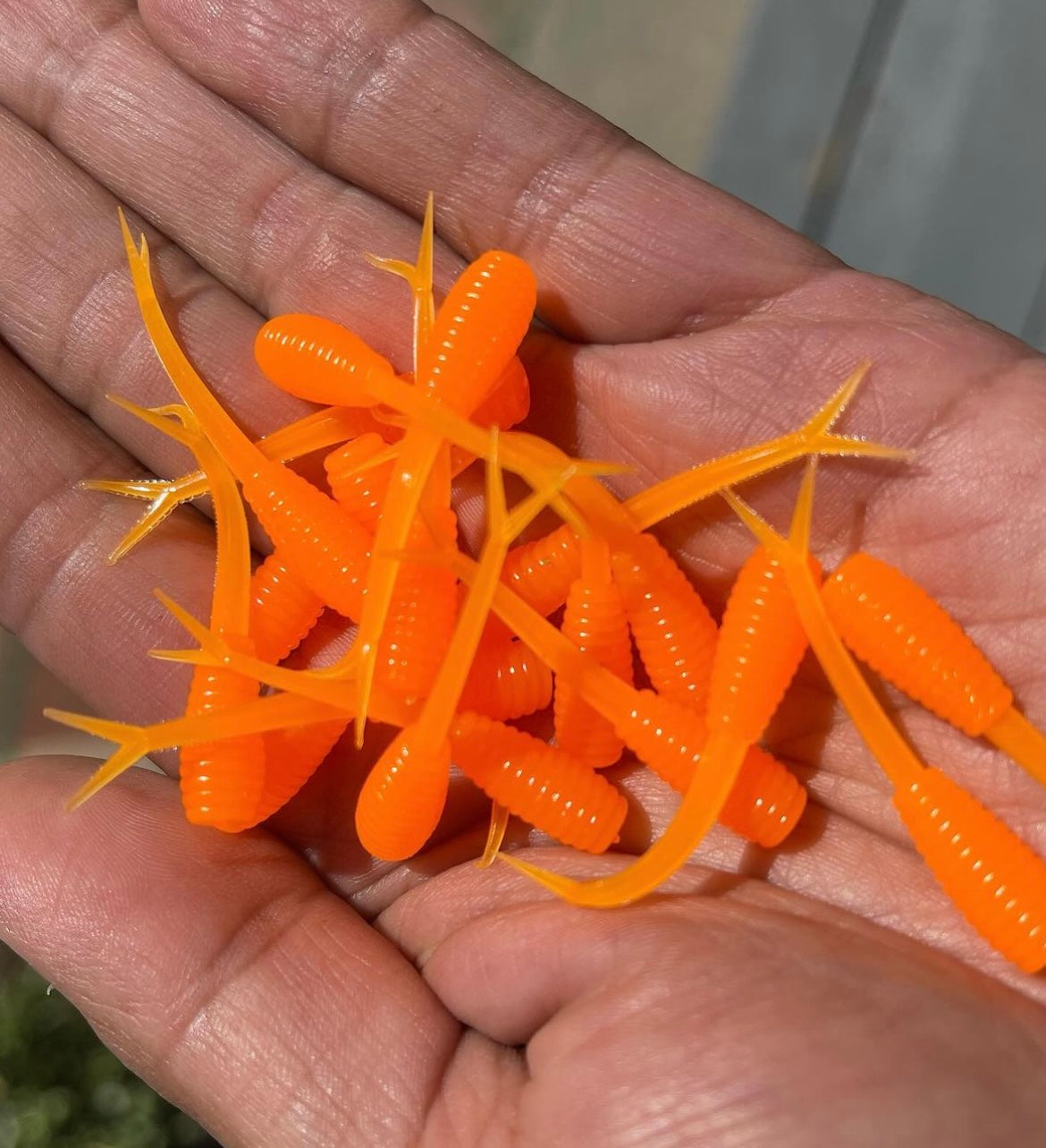 10pc 1.5 Floating "Neon Orange" Mamba