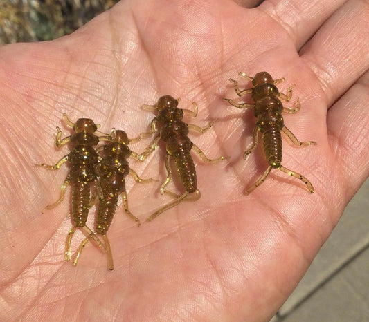 10pc  "Cutthroat Gold" Trout Fly